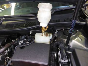 ss-P1150261.jpg