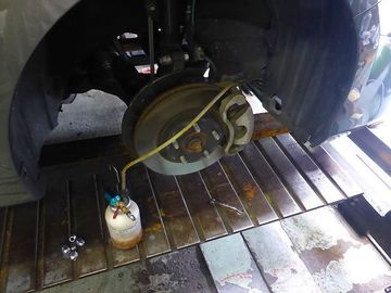 ss-P1150262.jpg