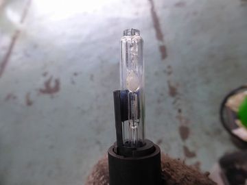 ss-P1150774.jpg