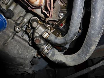 ss-P1150919.jpg