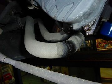 ss-P1150921.jpg