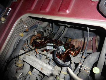 ss-P1150930.jpg