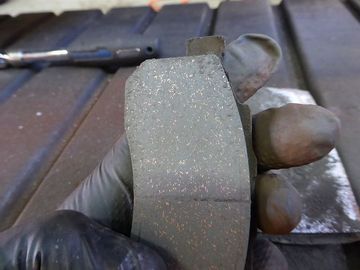 ss-P1150974.jpg