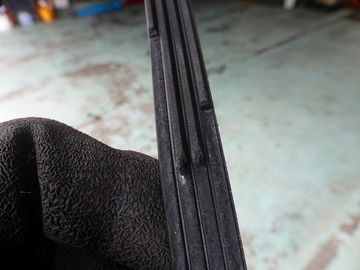 ss-P1160261.jpg
