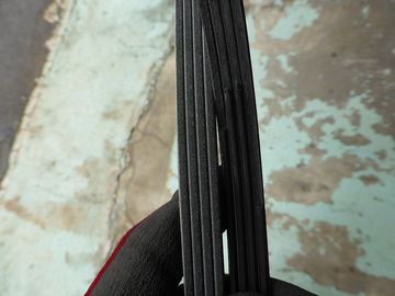 ss-P1160266.jpg