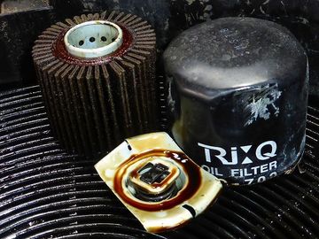 ss-P1160278.jpg
