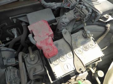ss-P1160473.jpg