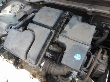 ss-P1160474.jpg