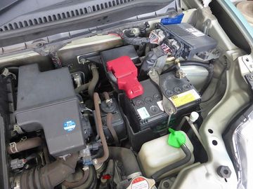 ss-P1160475.jpg