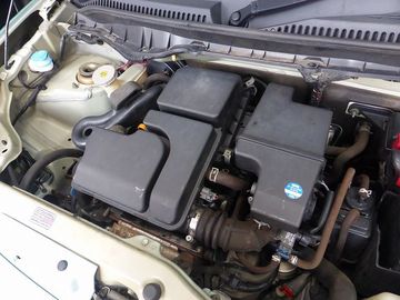 ss-P1160476.jpg