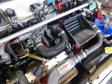 ss-P1160787.jpg