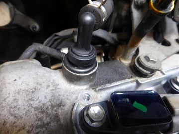 ss-P1160854.jpg