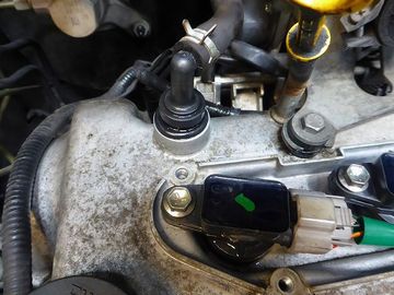 ss-P1160855.jpg