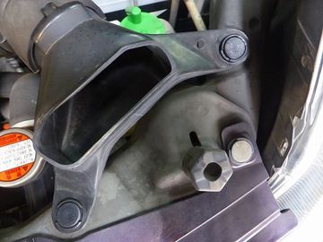 ss-P1160857.jpg