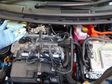 ss-P1160974.jpg