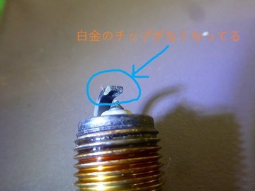 ss-P1170569.jpg