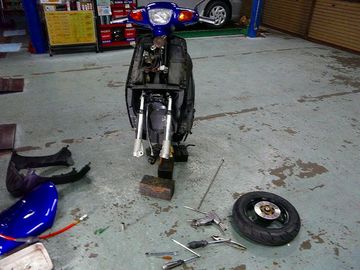 ss-ss-P1020276.jpg