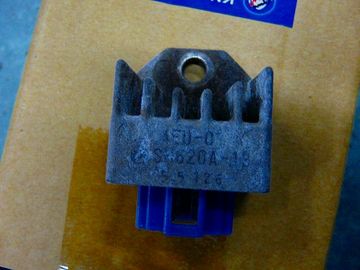 ss-ss-P1020286.jpg